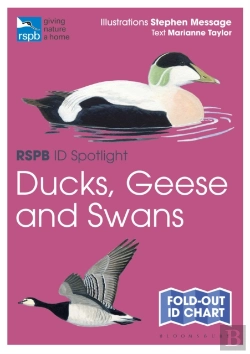 Bertrand.pt - Rspb Id Spotlight - Ducks, Geese And Swans