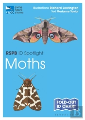 Rspb Id Spotlight - Moths