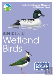 Rspb Id Spotlight - Wetland Birds