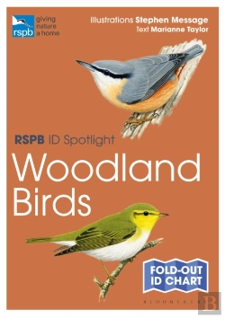 Bertrand.pt - Rspb Id Spotlight - Woodland Birds