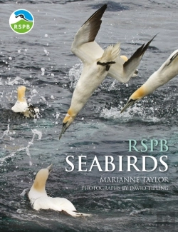 Bertrand.pt - Rspb Seabirds
