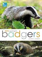 Rspb Spotlight: Badgers