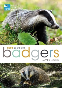 Bertrand.pt - Rspb Spotlight: Badgers