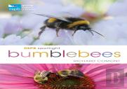Rspb Spotlight Bumblebees