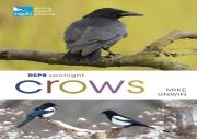 Rspb Spotlight Crows