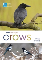 Rspb Spotlight Crows