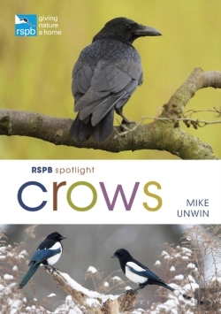 Bertrand.pt - Rspb Spotlight Crows