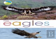 Rspb Spotlight: Eagles