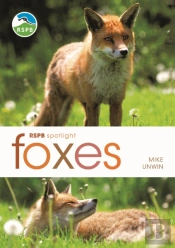 Rspb Spotlight: Foxes