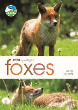 Bertrand.pt - Rspb Spotlight: Foxes
