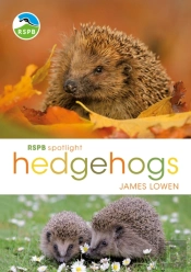 Rspb Spotlight Hedgehogs