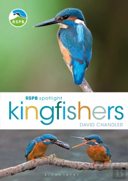 Bertrand.pt - Rspb Spotlight Kingfishers