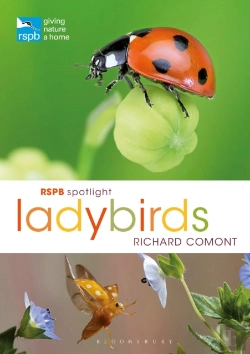 Bertrand.pt - Rspb Spotlight Ladybirds