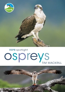 Bertrand.pt - Rspb Spotlight Ospreys