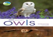Rspb Spotlight Owls