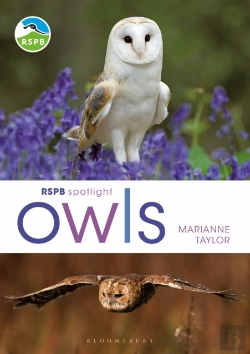 Bertrand.pt - Rspb Spotlight Owls