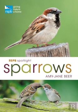 Bertrand.pt - Rspb Spotlight Sparrows