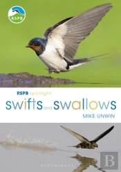 Rspb Spotlight Swifts And Swallows