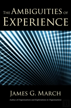 Bertrand.pt - Rt Ambiguities Of Experience Z