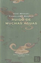 Ruido De Muchas Aguas