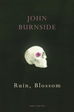 Bertrand.pt - Ruin, Blossom