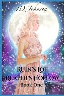 Ruin'S Lot