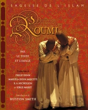 Rumi Sagesse De L'Islam