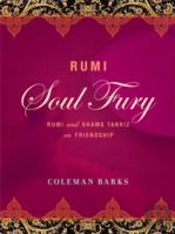 Rumi: Soul Fury