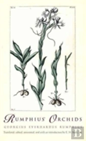 Rumphius' Orchids