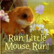 Run, Little Mouse, Run!