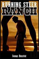 Running Steer Ranch - A Cowboy Romance