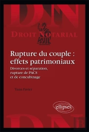 Rupture Du Couple : Effets Patrimoniaux ; Divorces & Séparation, Rupture De Pacs & De Concubinage