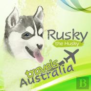 Rusky The Husky Travels Australia