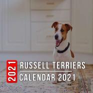 Russell Terriers Calendar 2021