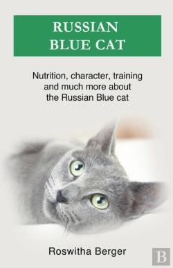 Bertrand.pt - Russian Blue Cat