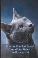 Russian Blue Cat Breed Information
