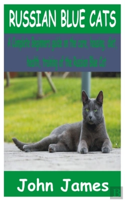 Bertrand.pt - Russian Blue Cats