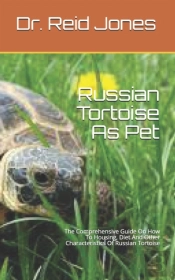 Russian Tortoise As Pet