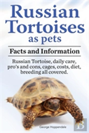 Russian Tortoises As Pets. Russian Tortoise: Facts And Information. Daily Care, Pro'S And Cons, Cages, Costs, Diet, Breeding All Covered