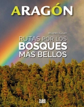Rutas Por Los Bosques Más Bellos