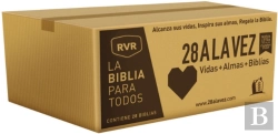 Bertrand.pt - Rvr-Santa Biblia - Edicion Economica / Paquete De 28