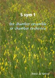 S Sym 1 For Chamber Ensemble Or Chamber Orchestra
