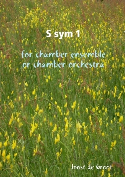 Bertrand.pt - S Sym 1 For Chamber Ensemble Or Chamber Orchestra