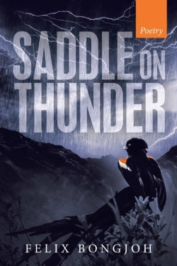 Bertrand.pt - Saddle On Thunder