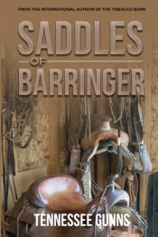 Saddles Of Barringer