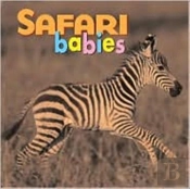 Safari Babies Bd