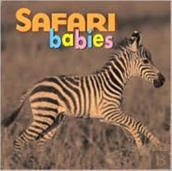 Bertrand.pt - Safari Babies Bd
