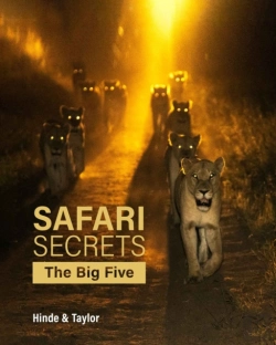 Bertrand.pt - Safari Secrets