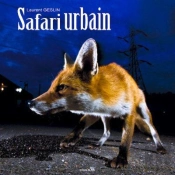 Safari Urbain