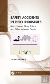 Safety Accidents In Risky Industries